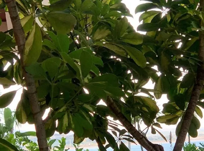Wow Relax+terrace+3 Minutes To Beach+10 Min 公寓 拉哥斯