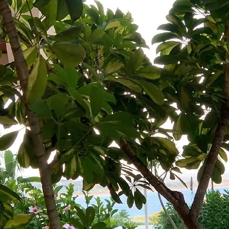 Wow Relax+terrace+3 Minutes To Beach+10 Min Apartment Lagos